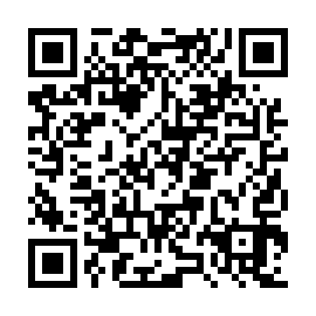 QR code for plate DZB 513