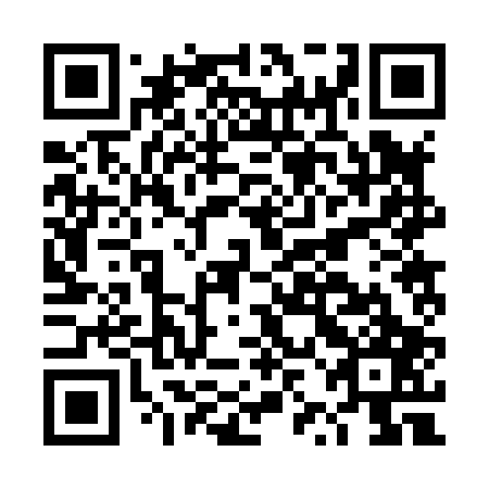 QR code for plate DZB 807