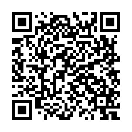 QR code for plate DZB 905