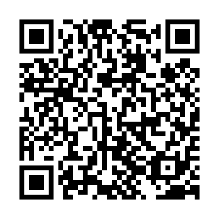 QR code for plate DZC 411