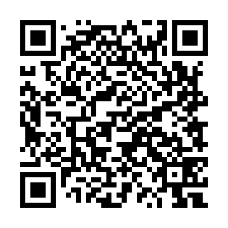 QR code for DZD 979