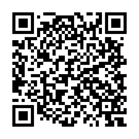 QR code for plate DZD 553