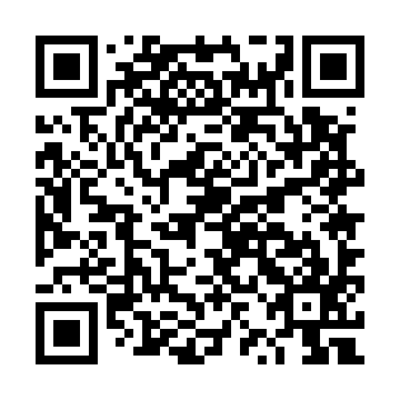 QR code for plate DZE 597