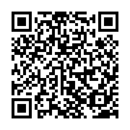 QR code for DZF010