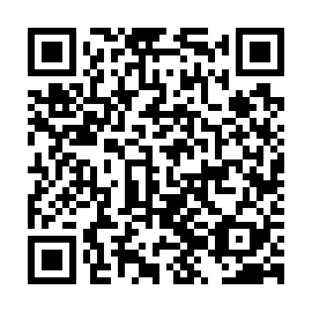 QR code for plate DZF 729