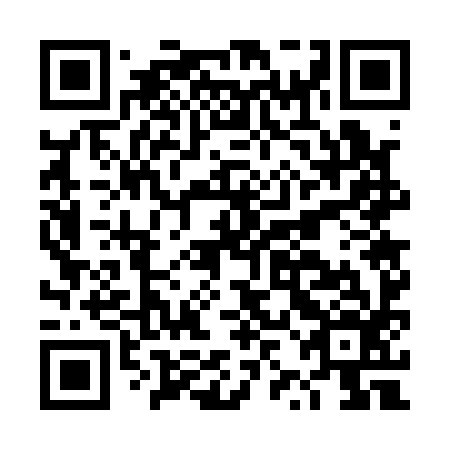 QR code for DZG 196