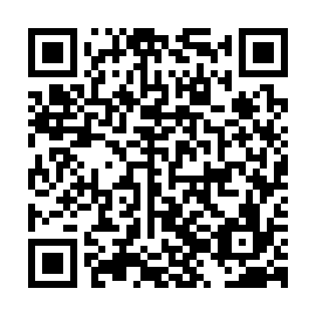 QR code for DZG 336
