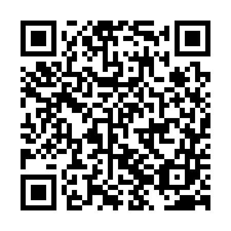 QR code for DZG 343