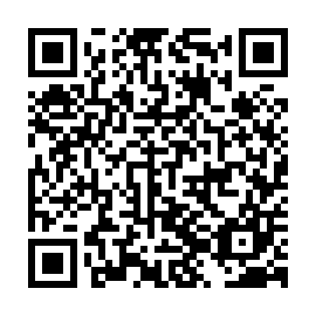 QR code for plate DZG 807