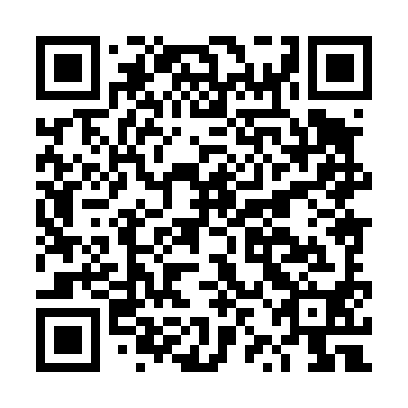 QR code for DZH 490