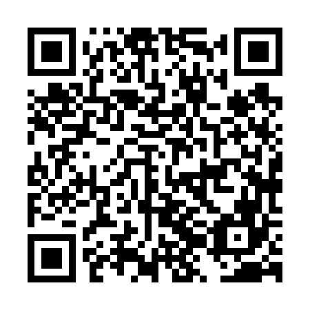 QR code for DZH 666