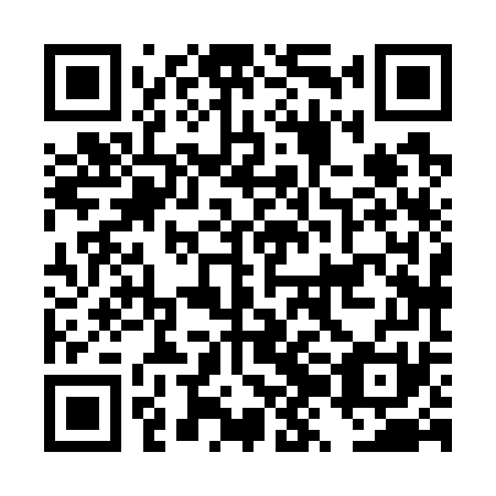 QR code for DZH 771