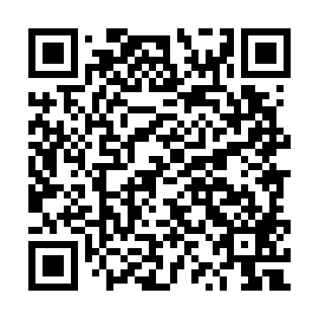 QR code for DZH 789