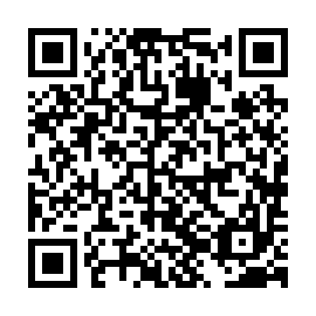 QR code for plate DZH 297