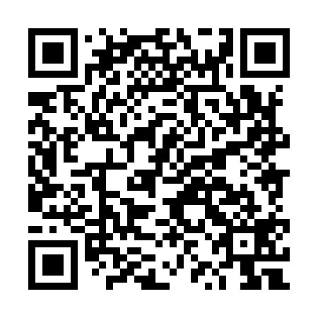 QR code for DZH919