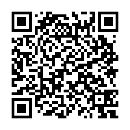 QR code for DZI 338