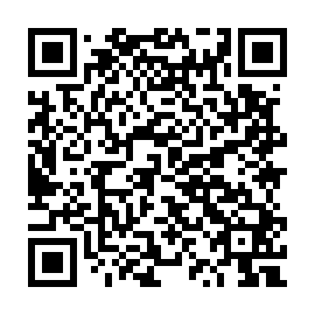 QR code for plate DZI 540