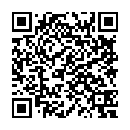 QR code for DZI838