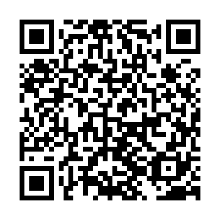 QR code for DZI970