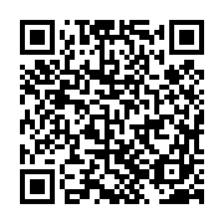 QR code for DZJ 463