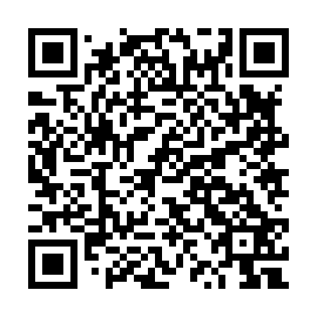 QR code for plate DZJ 823