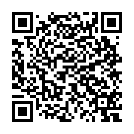 QR code for DZK 314