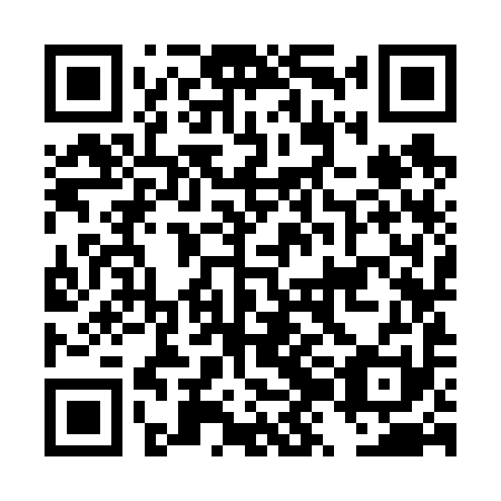 QR code for plate DZK 691