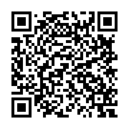 QR code for plate DZK 817