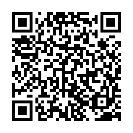 QR code for DZK993