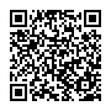 QR code for DZL 206