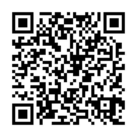 QR code for DZL 221