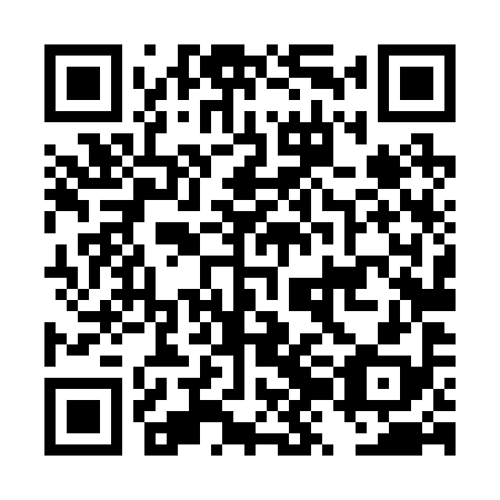 QR code for DZL 298