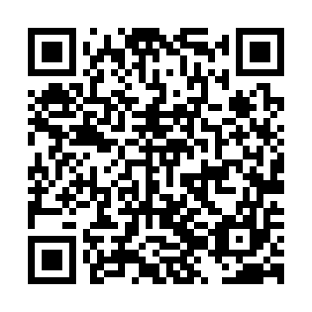 QR code for DZL357