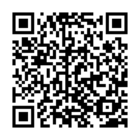 QR code for plate DZL 368