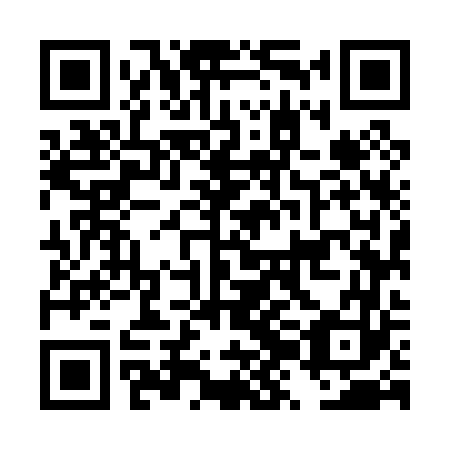 QR code for DZM 063