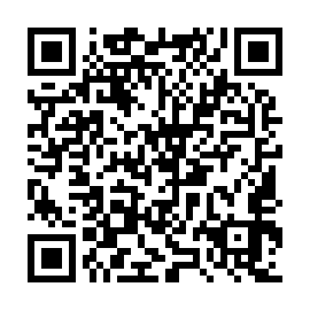 QR code for DZM 953