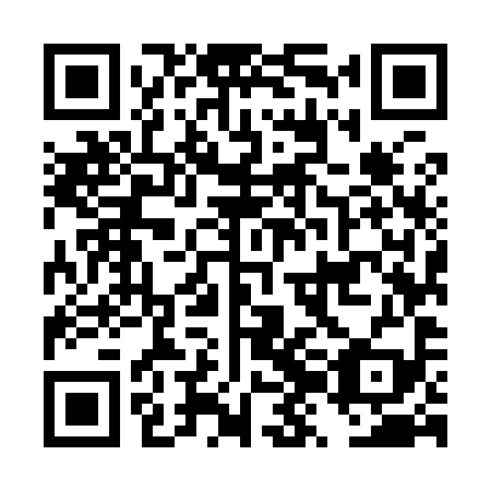 QR code for DZM 999