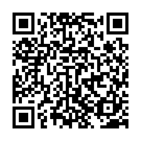 QR code for plate DZM 323