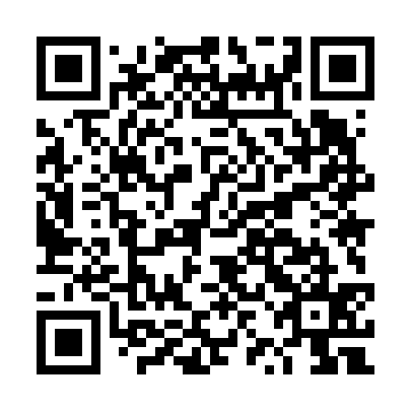QR code for plate DZM 635