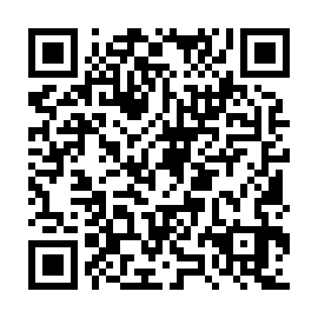 QR code for DZM833