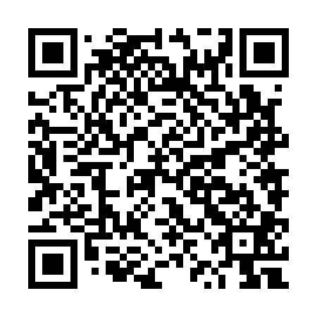 QR code for DZN101