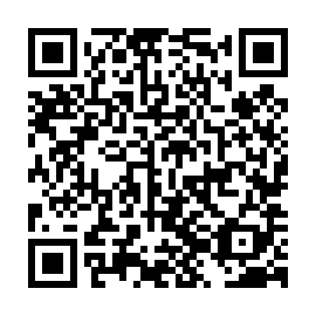 QR code for plate DZN 489