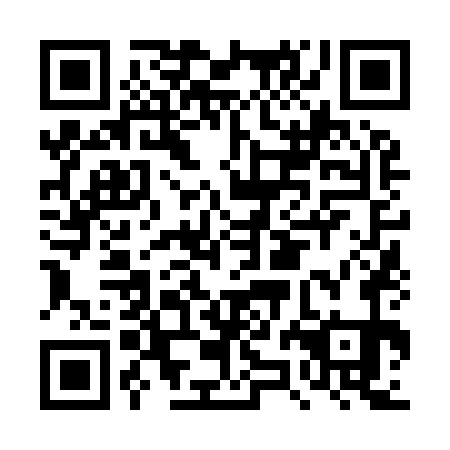 QR code for DZN971