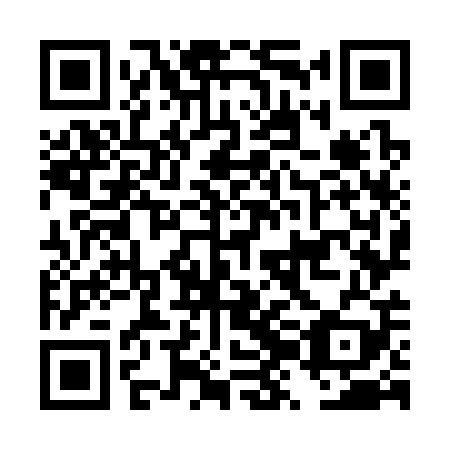 QR code for DZO 309