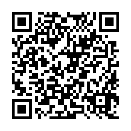 QR code for DZO 786