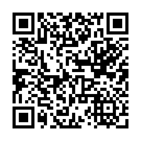 QR code for DZP 336