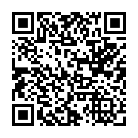 QR code for DZP 411