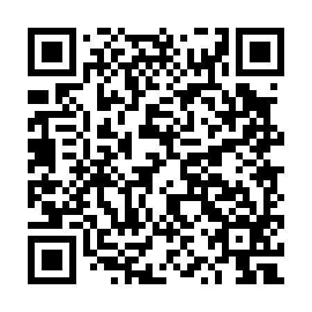 QR code for plate DZP 096