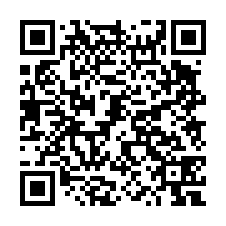 QR code for DZP438
