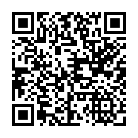 QR code for DZQ 317